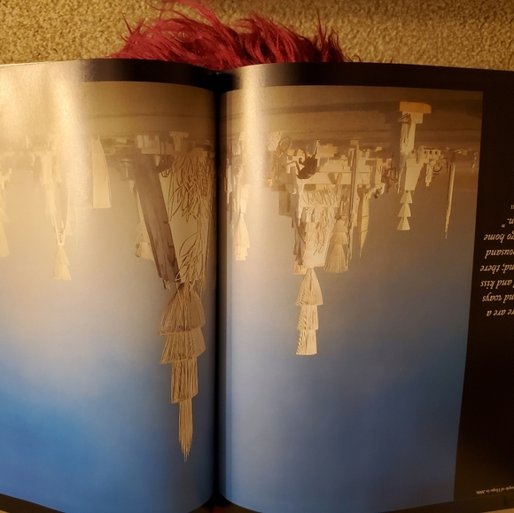 New / Fine Cond. Coffee Table Art Book Burning Man - Picture 4 of 9